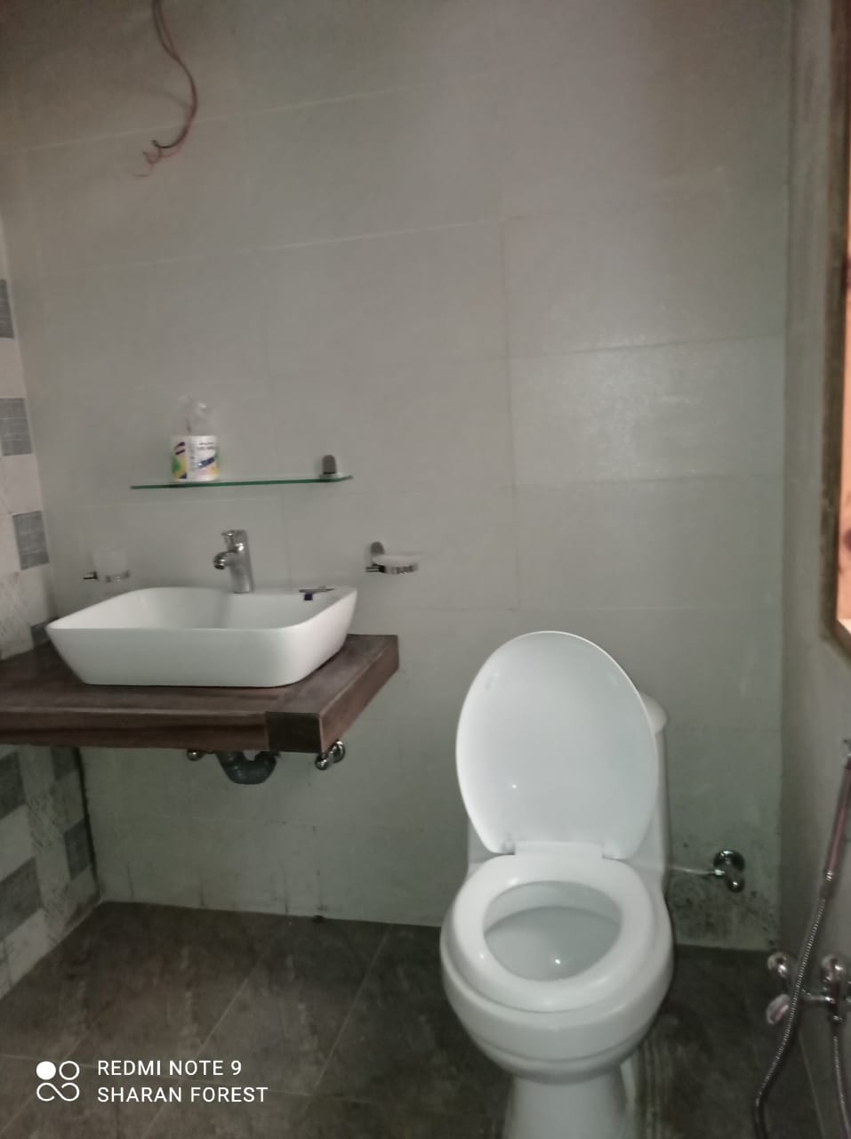 Sharan Forest Glamping